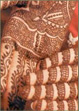 curley design henna